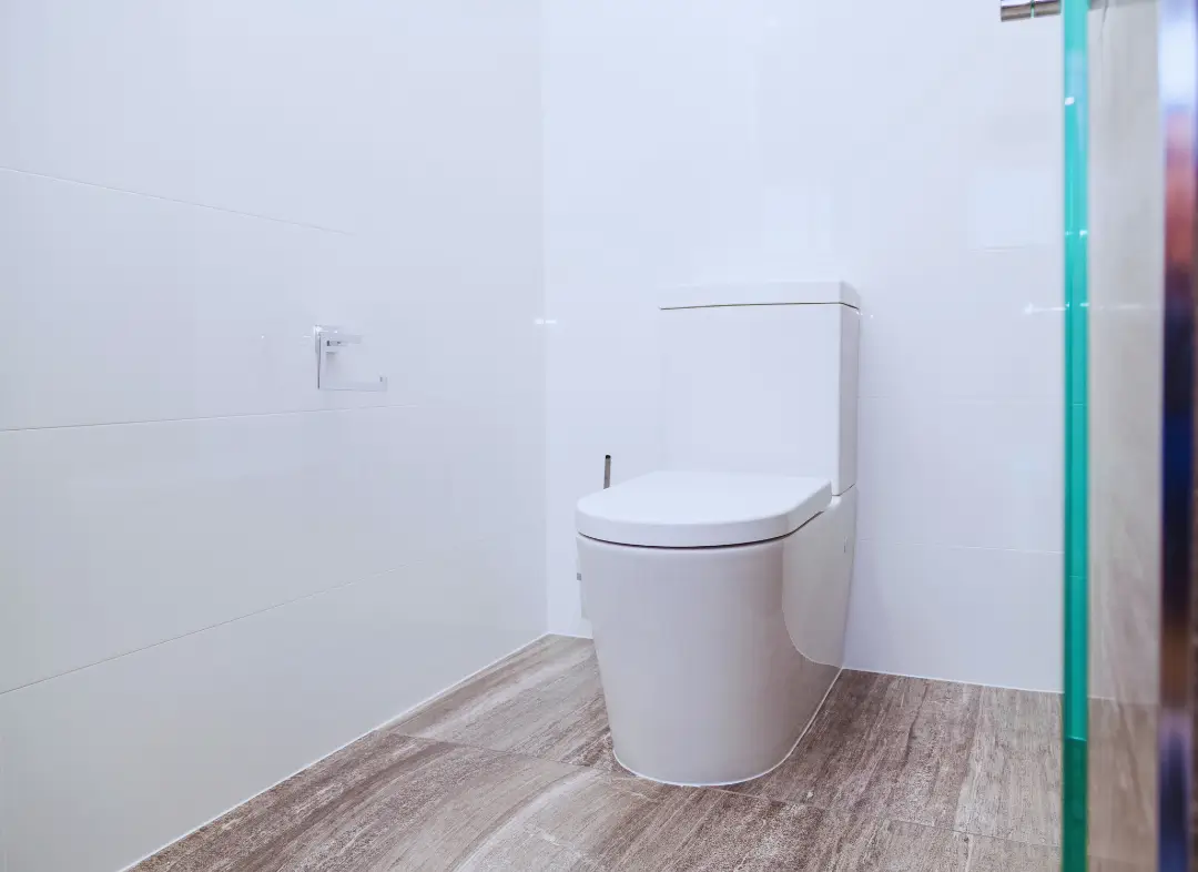 Remplacement de wc Roquettes