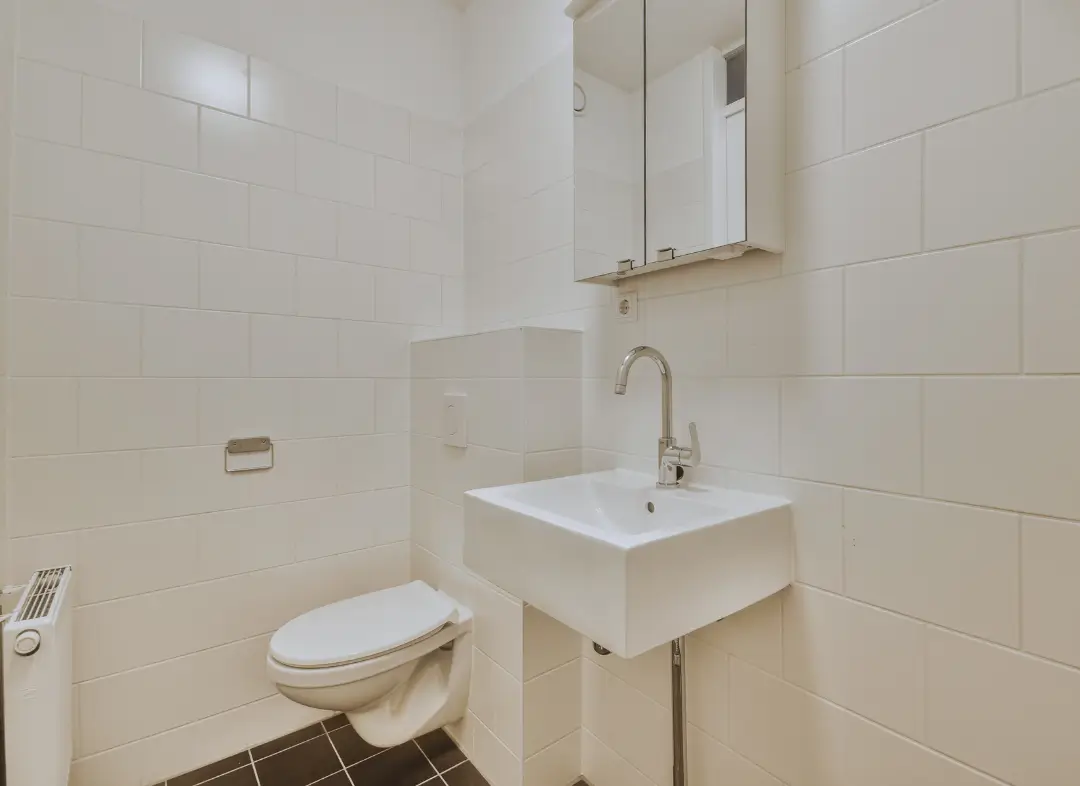 Pose WC Suspendu Roquettes